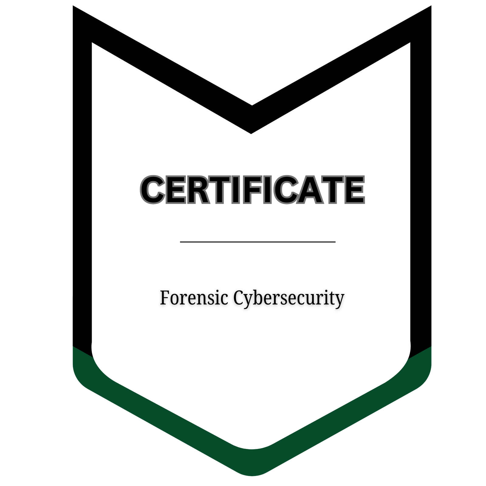 Forensic Cybersecurity