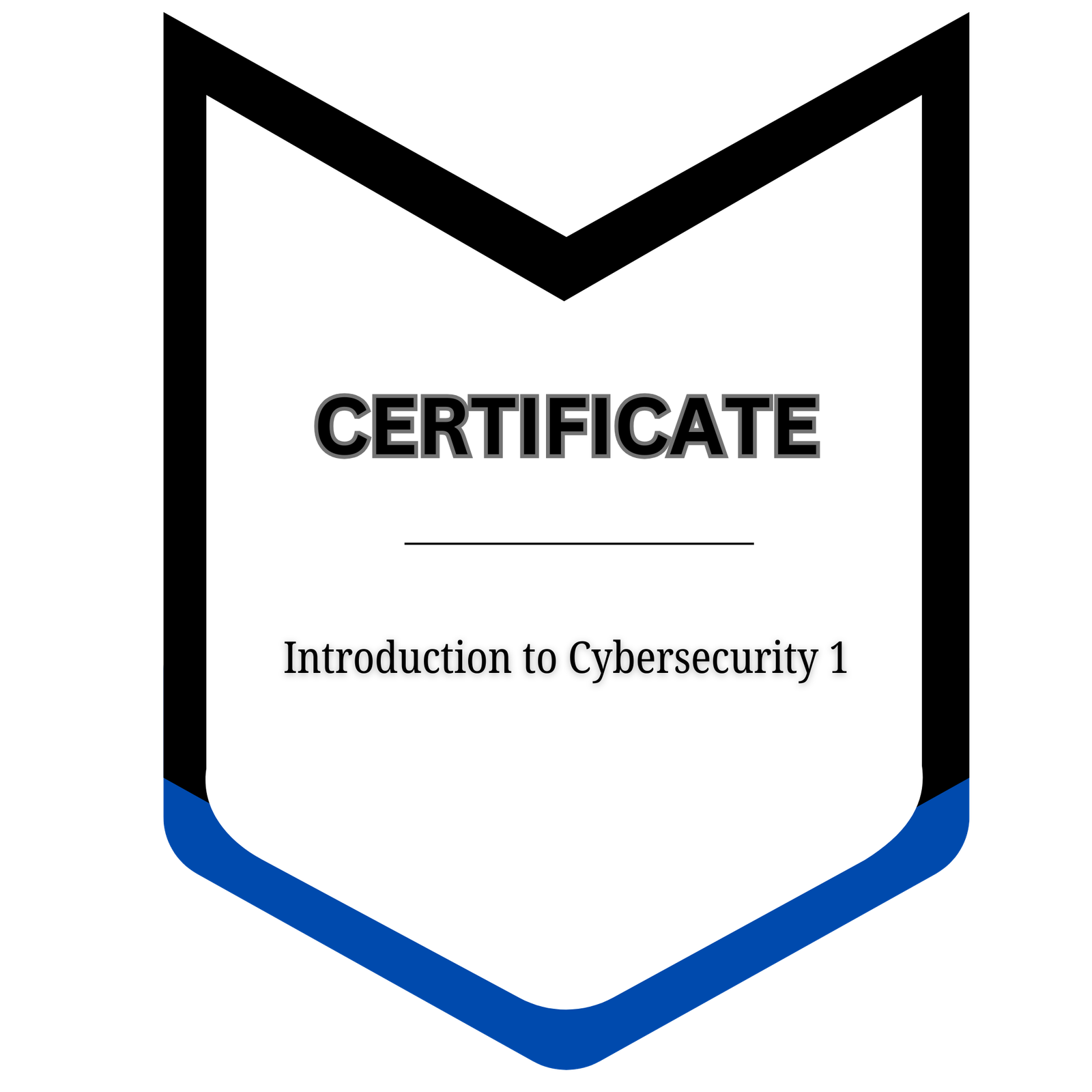 Intro Cybersecurity 1