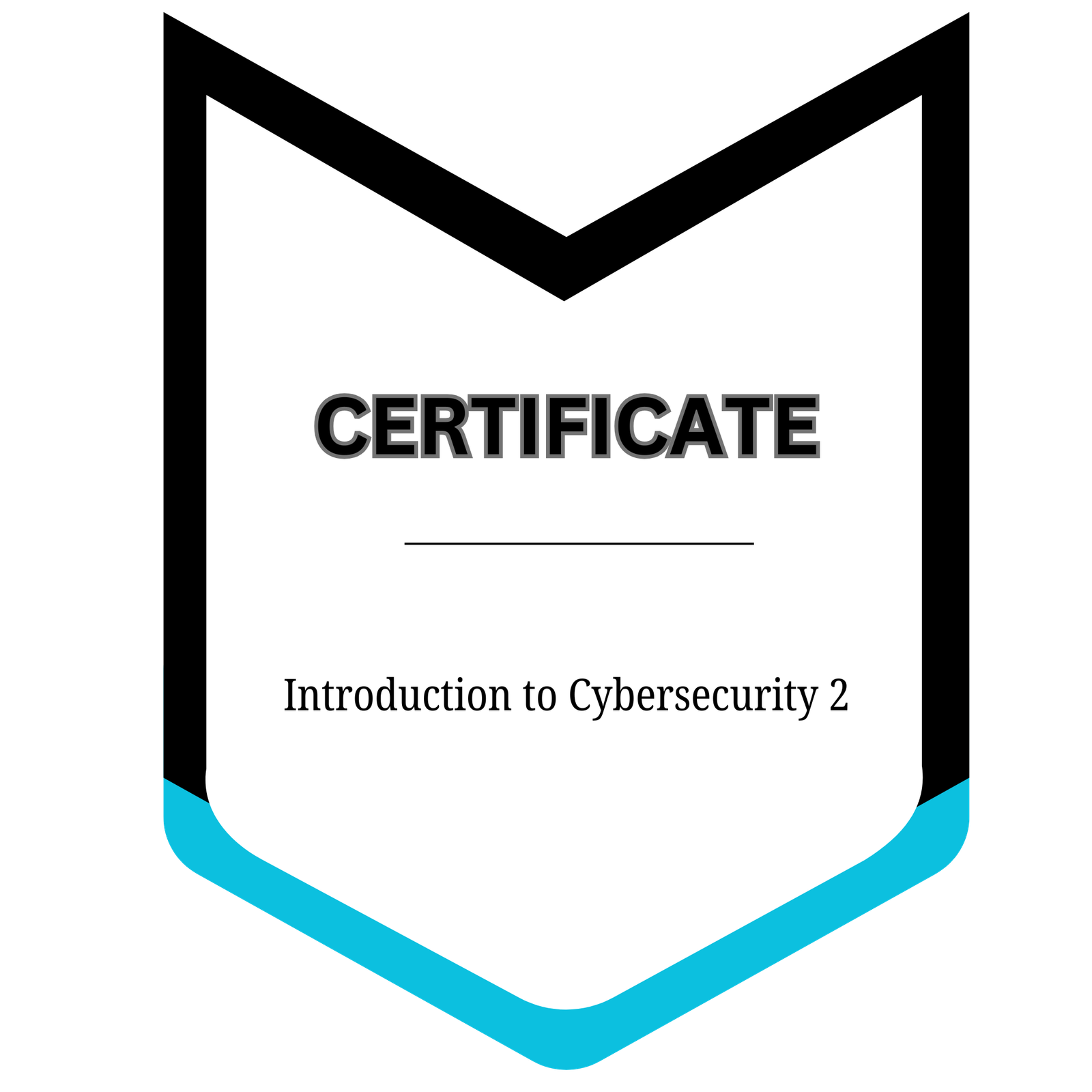 Intro Cybersecurity 2