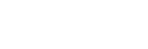 Asian Institute AI